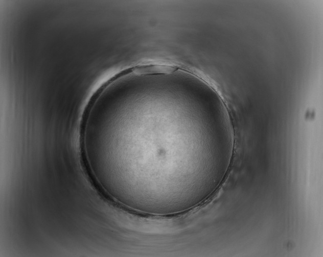 X0000103140008200808291350