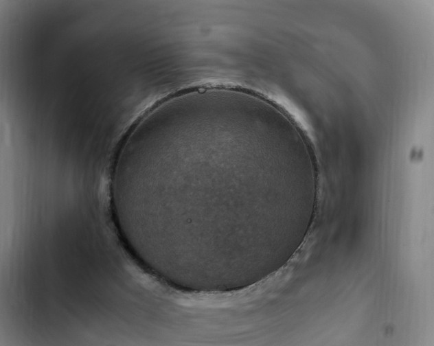 X0000103140009200808291350