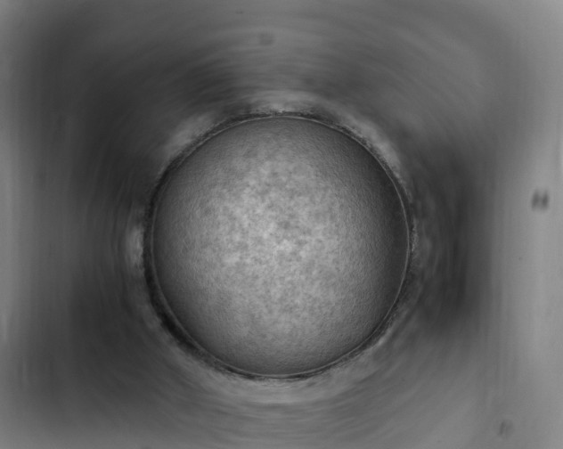 X0000103140010200808291350