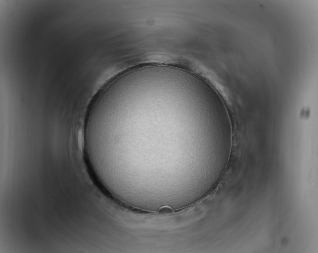 X0000103140011200808291350