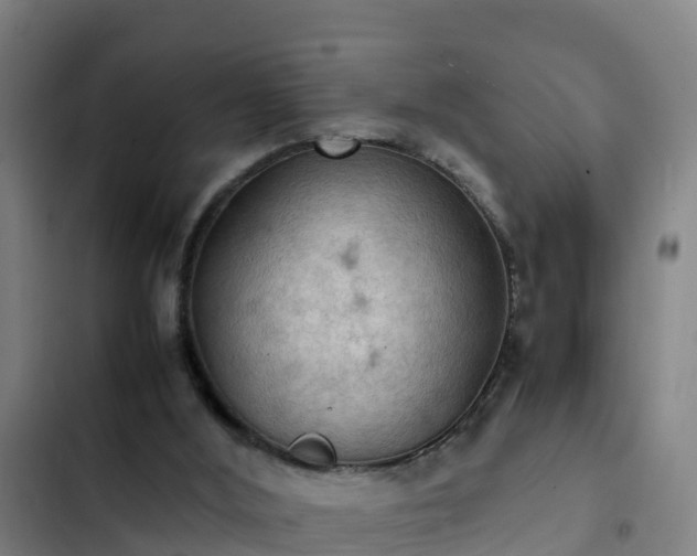 X0000103140012200808291350