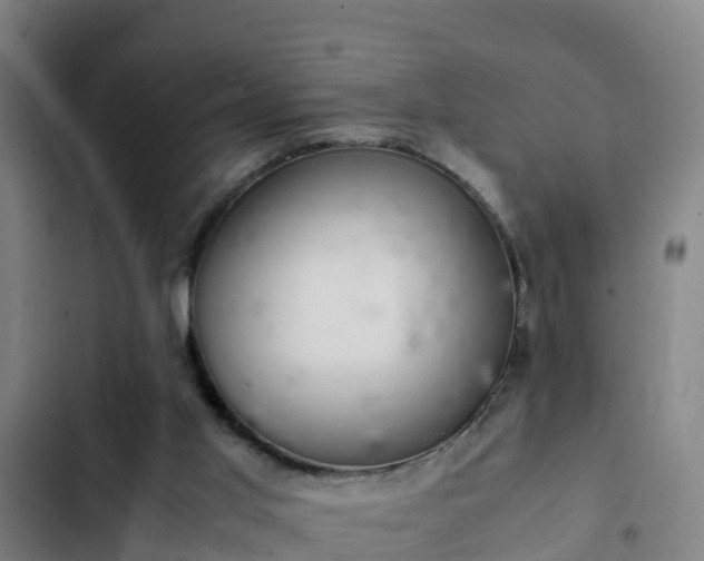 X0000103140013200808291350