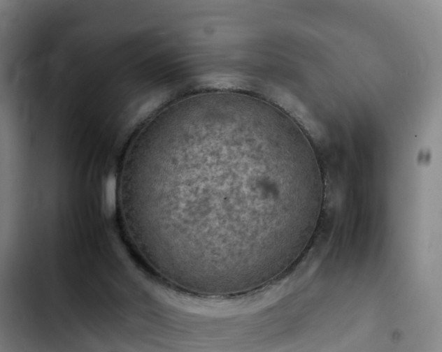 X0000103140014200808291350