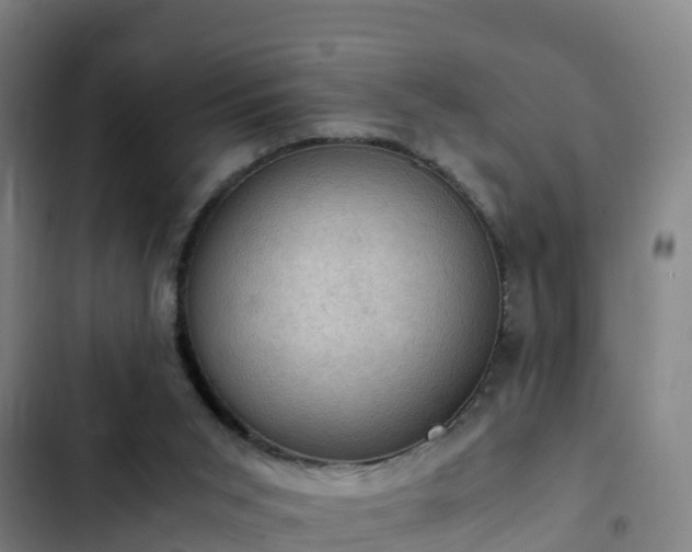 X0000103140015200808291350