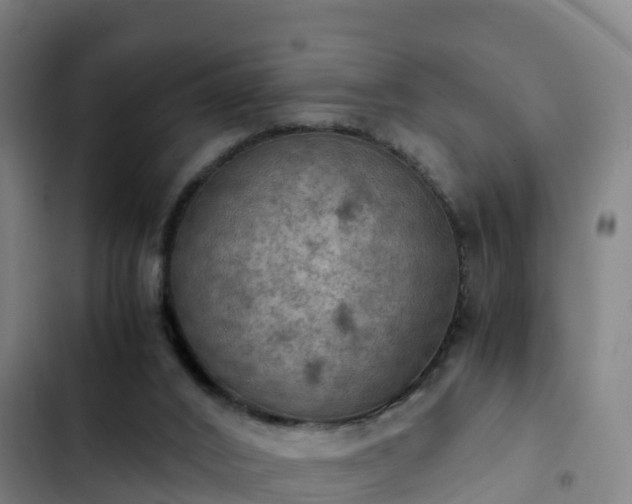 X0000103140016200808291350