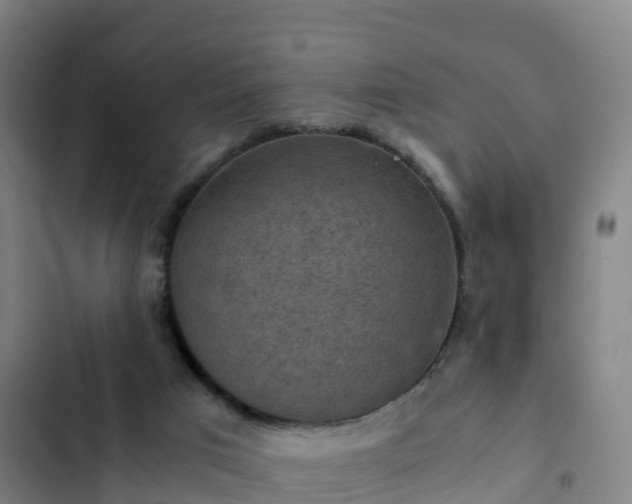 X0000103140017200808291350