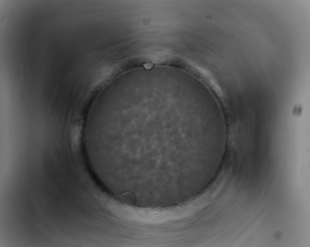 X0000103140018200808291350