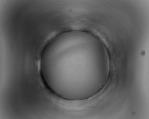 X0000103140019200808291350