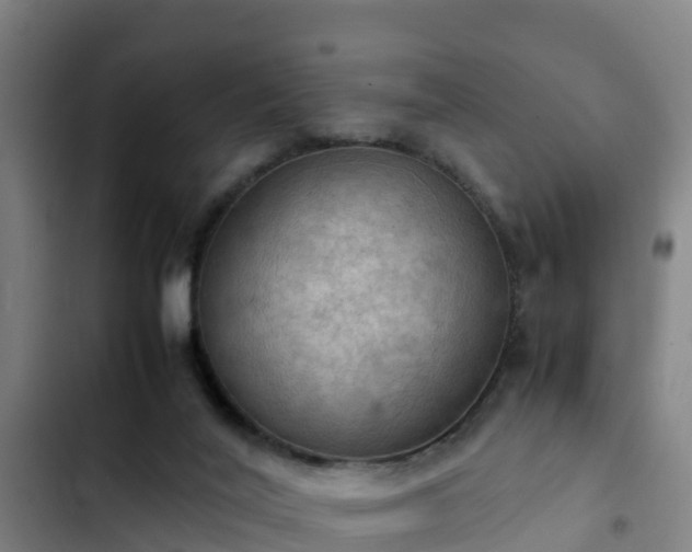 X0000103140020200808291350