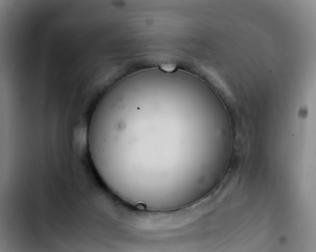 X0000103140021200808291350