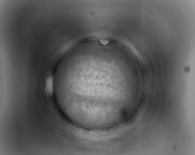 X0000103140022200808291350