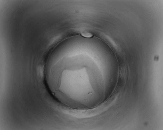 X0000103140023200808291350