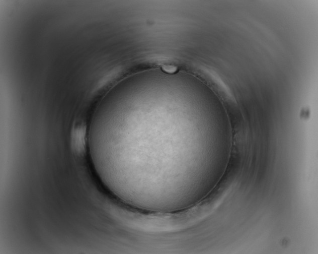 X0000103140024200808291350