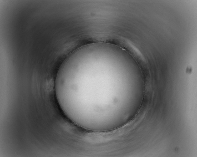 X0000103140025200808291350