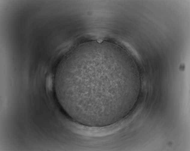 X0000103140026200808291350