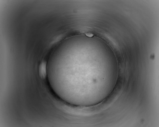 X0000103140028200808291350