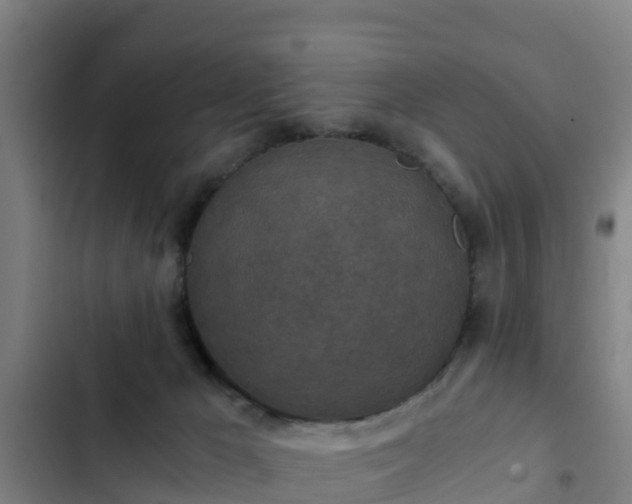 X0000103140029200808291350