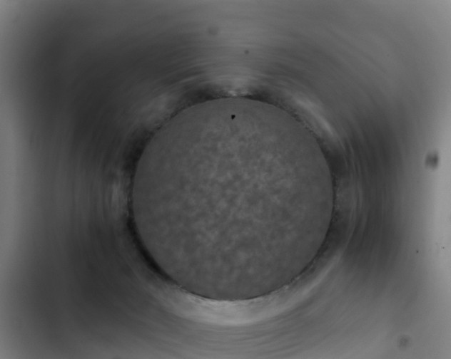 X0000103140030200808291350