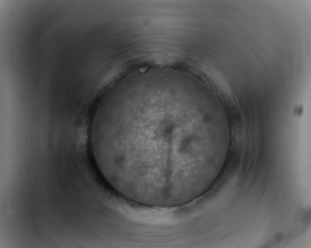 X0000103140032200808291350