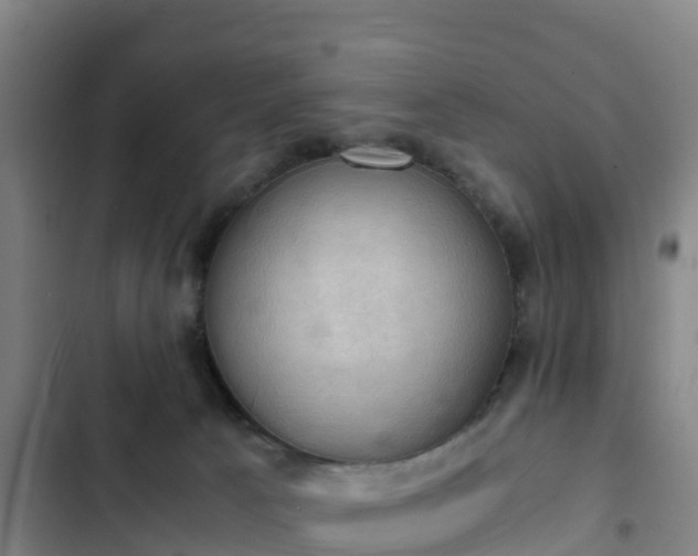 X0000103140033200808291350