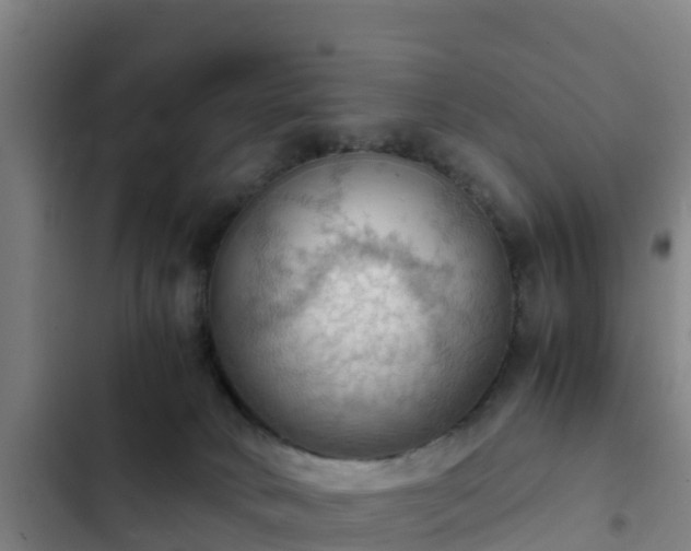 X0000103140034200808291350