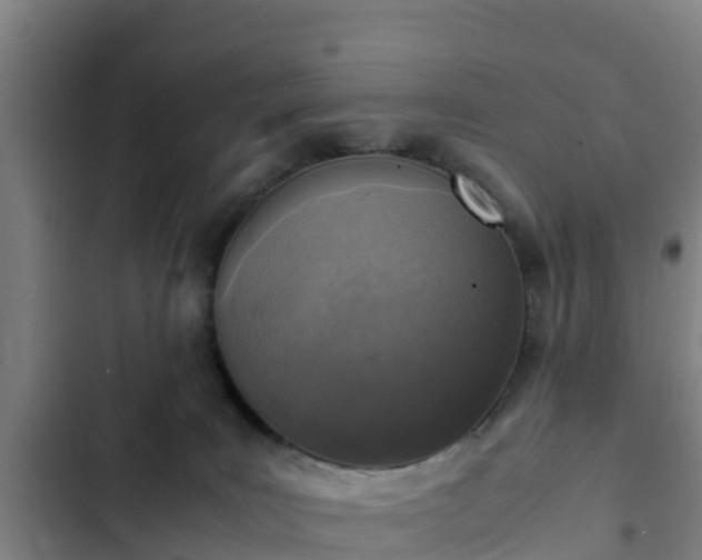 X0000103140035200808291350