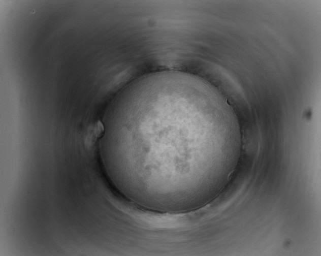 X0000103140036200808291350