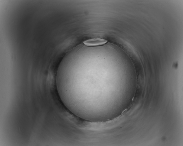 X0000103140037200808291350