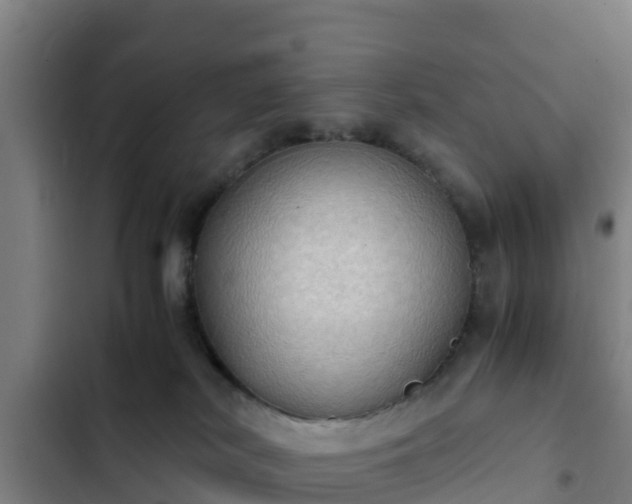 X0000103140038200808291350