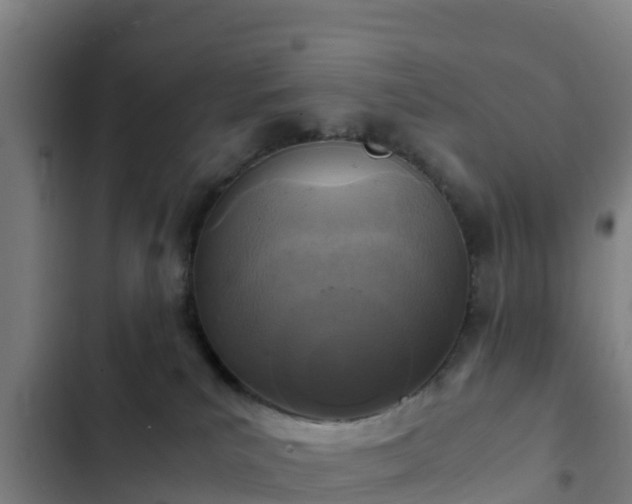 X0000103140039200808291350