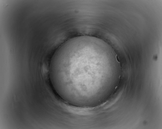 X0000103140040200808291350