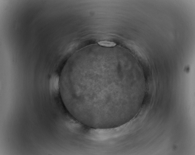 X0000103140041200808291350