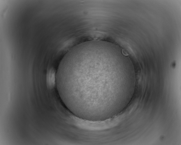 X0000103140042200808291350