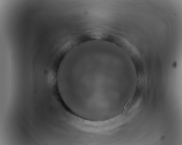 X0000103140043200808291350