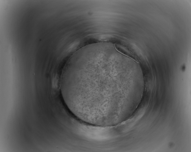 X0000103140044200808291350