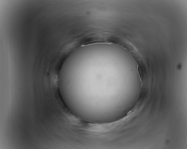 X0000103140045200808291350