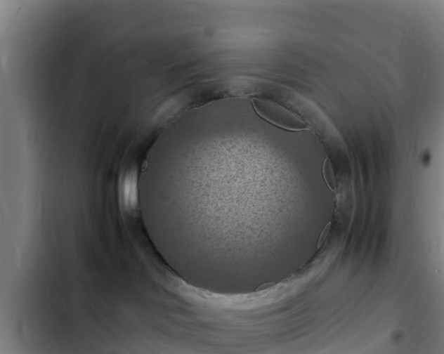 X0000103140046200808291350