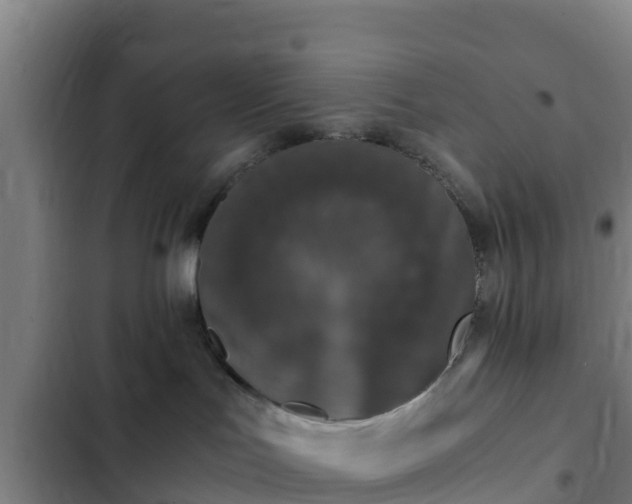 X0000103140047200808291350