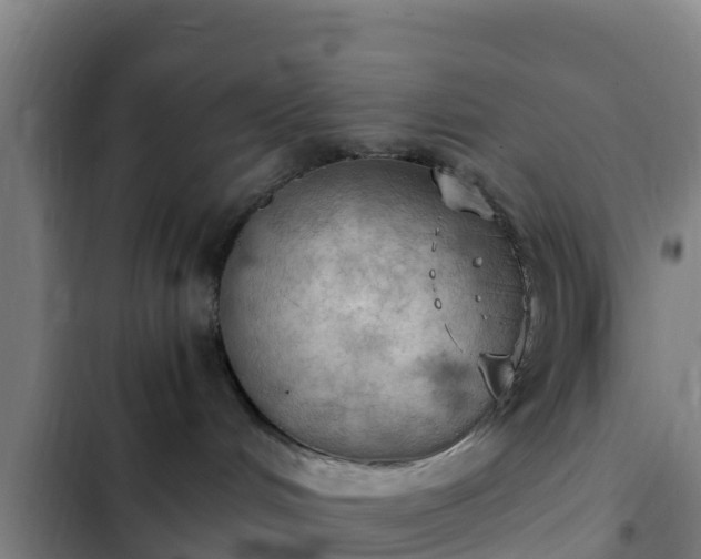 X0000103140048200808291350