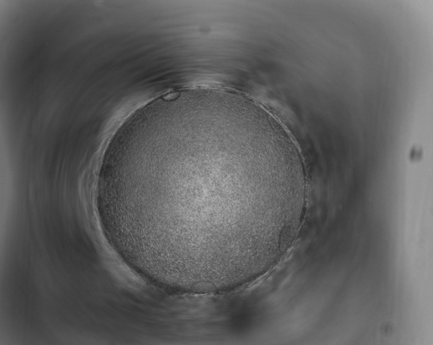 X0000103140049200808291349