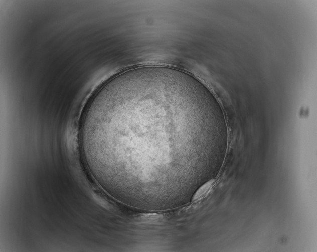 X0000103140050200808291349