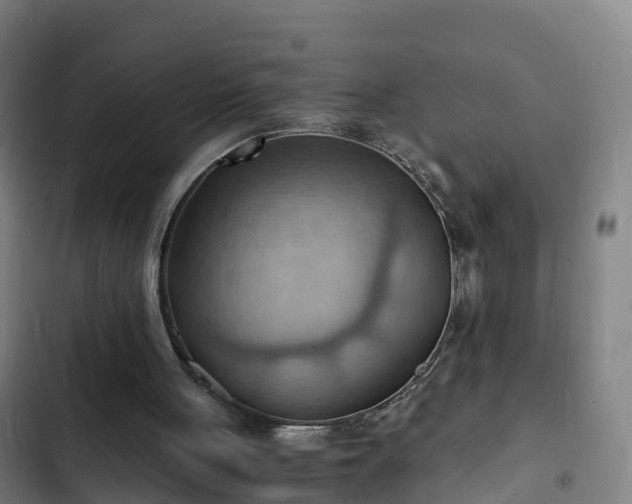 X0000103140051200808291349