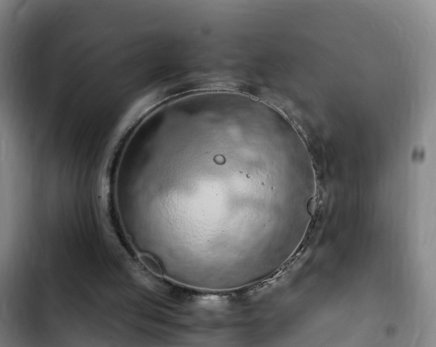 X0000103140053200808291349