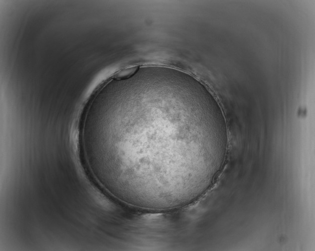 X0000103140054200808291349