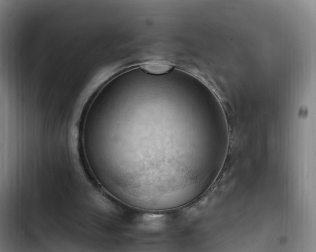 X0000103140055200808291349