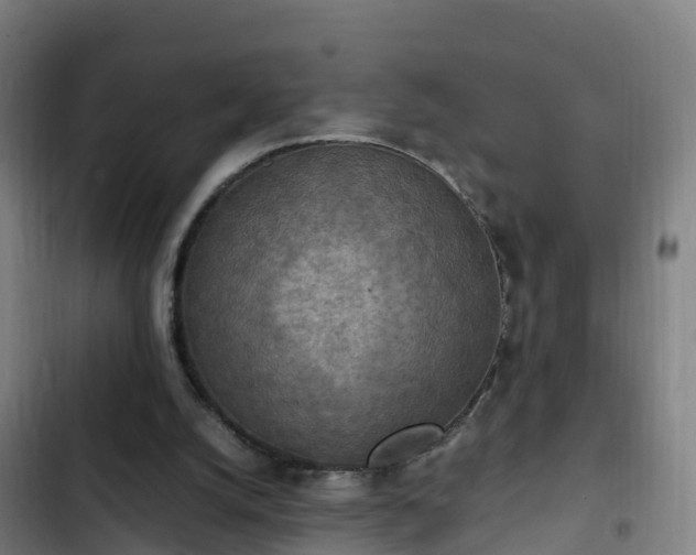 X0000103140056200808291349