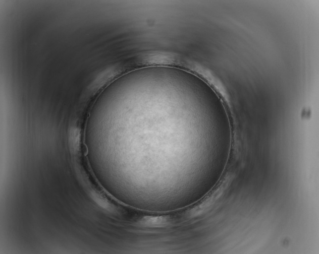 X0000103140057200808291349