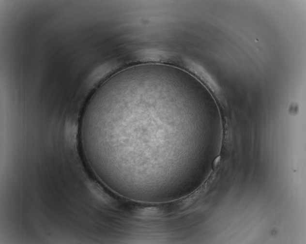 X0000103140058200808291349