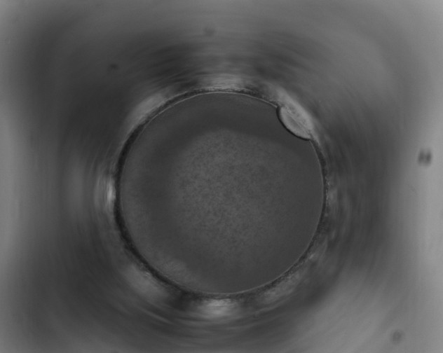 X0000103140059200808291349