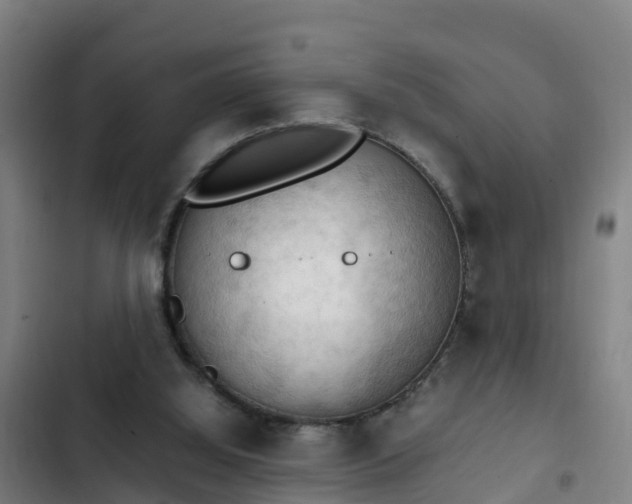 X0000103140060200808291349